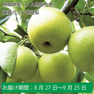 鳥取県産(JA鳥取中央)東郷の二十世紀梨 赤秀5kg5L10玉【お届け期間:8月27日〜9月25日】【ふるさとの味・中四国】の画像