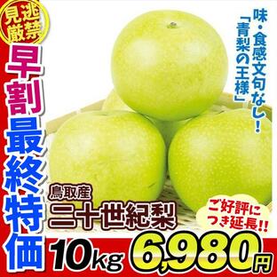 梨 10kg 二十世紀梨 鳥取産 ご家庭用 二十世紀 ブランド梨 鳥取 和梨 送料無料 食品の画像