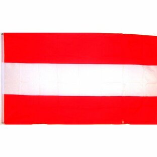 海外限定 国旗 オーストリア共和国 大フラッグの画像