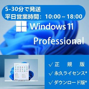 Microsoft Windows 11 professional win11 pro 1PC プロダクトキー ライセンス認証 日本語 正規版 ダウンロード版 永続ライセンス 認証完了までサポートの画像