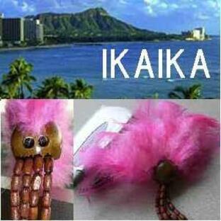 王様の身を守ったハワイのカブト 夏に人気アップ イカイカの画像
