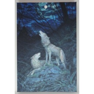 日本狼の御朱印帳 サイズ幅122mm 高さ182mm 24枚折り 絵:玉川麻衣氏 送料無料の画像