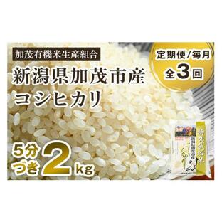 ふるさと納税 新潟県 加茂市 【定期便3回毎月お届け】【2024年先行予約】【令和6年産新米】【5分づき】新潟県加茂市産 特別栽培米コシヒカリ 精米 2kg 従来品…の画像