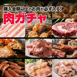 【3000円コース】肉ガチャ 肉福袋 食品 冷凍 肉 精肉 加工品 福袋 詰め合わせの画像