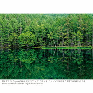 お風呂ポスター 御射鹿池(長野県) 防水ポスター おふろポスター 銭湯気分の画像