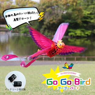 【公式】 鳥型 ドローン ラジコン Go Go Bird ゴーゴーバード Newseed ニューシード 子供 公園 おもちゃ 小型 室内 本物の鳥のはばたき 簡単操作 予備バッテリーつき ドローン簡単 初心者でも大丈夫 夏休み 自由研究 ET-GGB1の画像