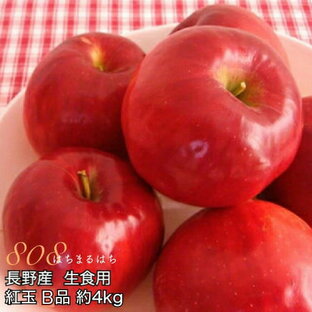 減農薬 長野 生食用 紅玉 りんご B品 約4kg小玉12～25個入 リンゴ 林檎 産地直送 小山 SSS 9gの画像